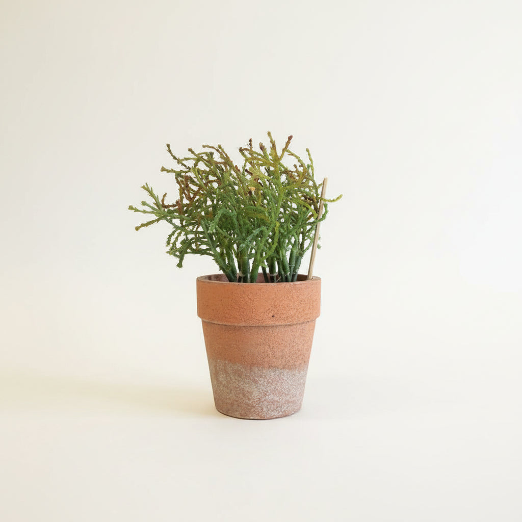 Assorted Faux Herbs