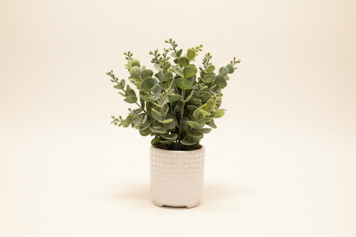 Eucalyptus in Bubble Ceramic Pot