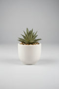 3.5" Potted Cactus – Faux Succulent Botanical Décor