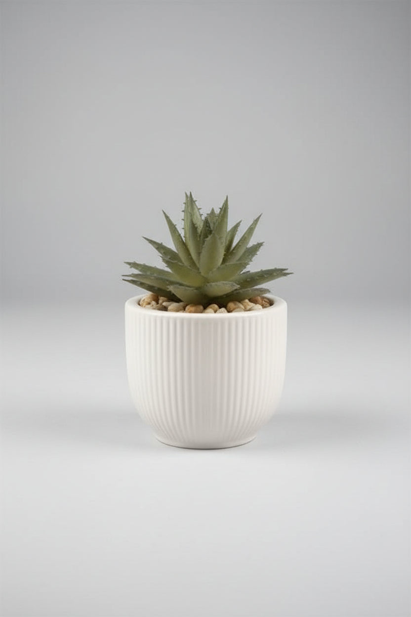 3.5" Potted Cactus – Faux Succulent Botanical Décor