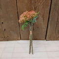 Peach Buds Buddle
