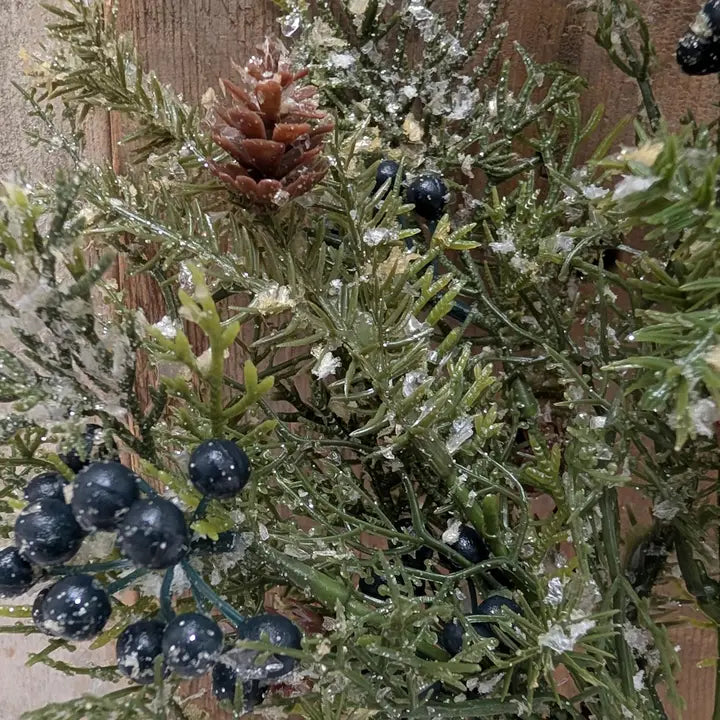 Winter Blueberry Bush
