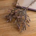 Autumn Colored Berry Stems