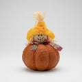 Scarecrow Pumpkin Decor