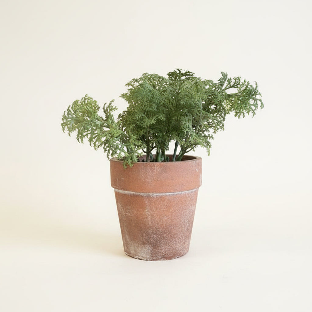 Assorted Faux Herbs