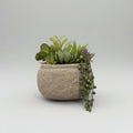 Small Rounded Faux Concrete Potted Succulents