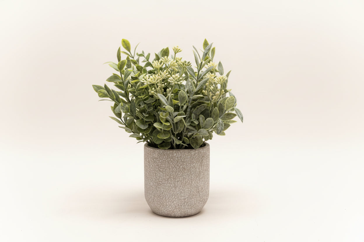 Eucalyptus in Crackled Cement Pot