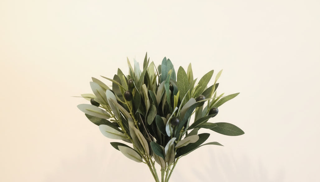 11" Olive Stems