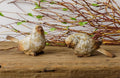 Birds - Natural Weathered Finish