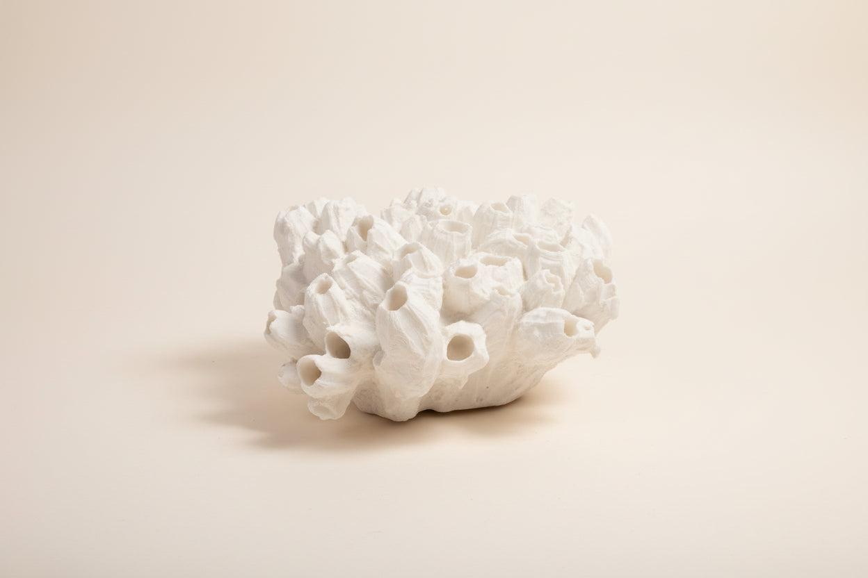 White Coral Table Sculpture