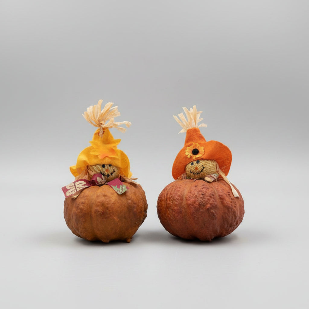 Scarecrow Pumpkin Decor