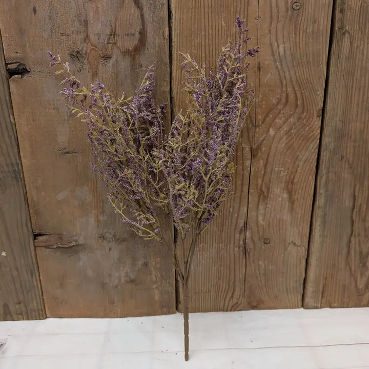 Caspia Bush
