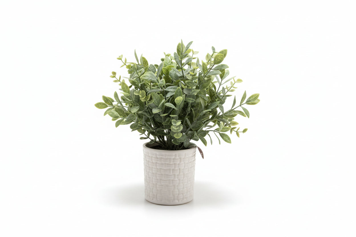 Eucalyptus in White Woven Textured Vase