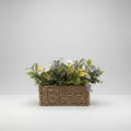Rectangular Rattan Potted Spring Arrangement