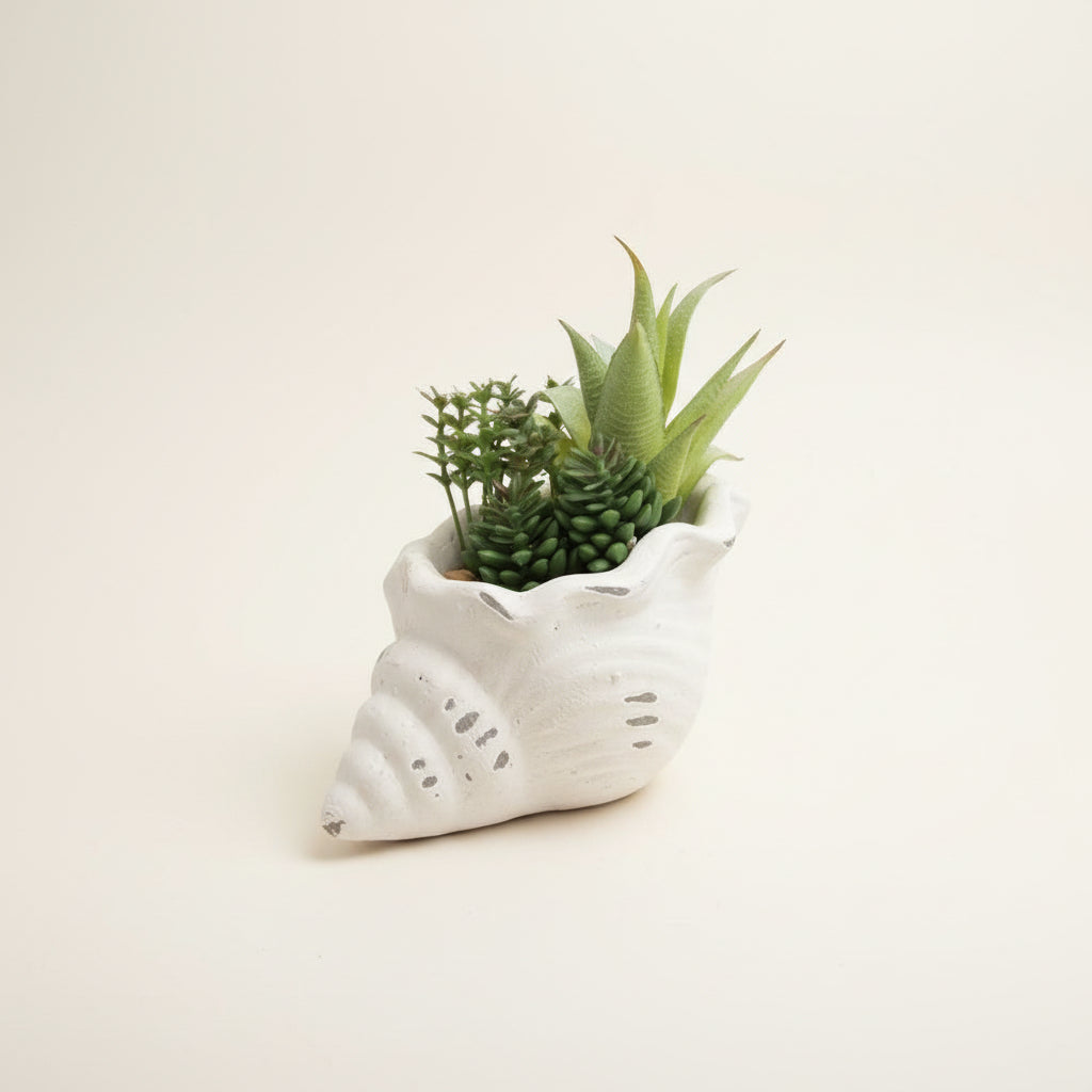 Fuax Succulents in Conch Sea Shells