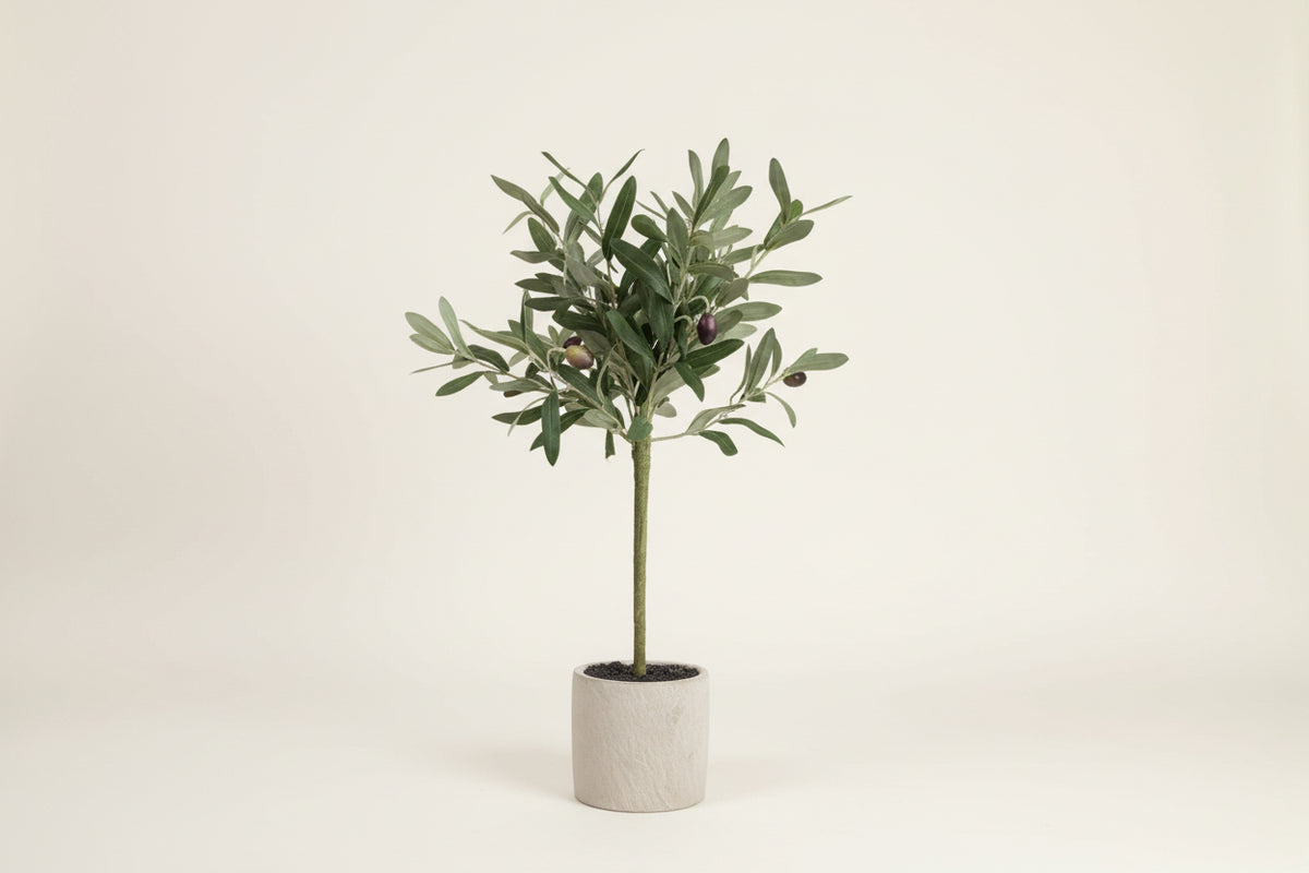 Faux Potted Olive Tree | 24"