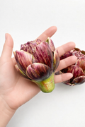 Decorative Faux Artichoke | Small & Large