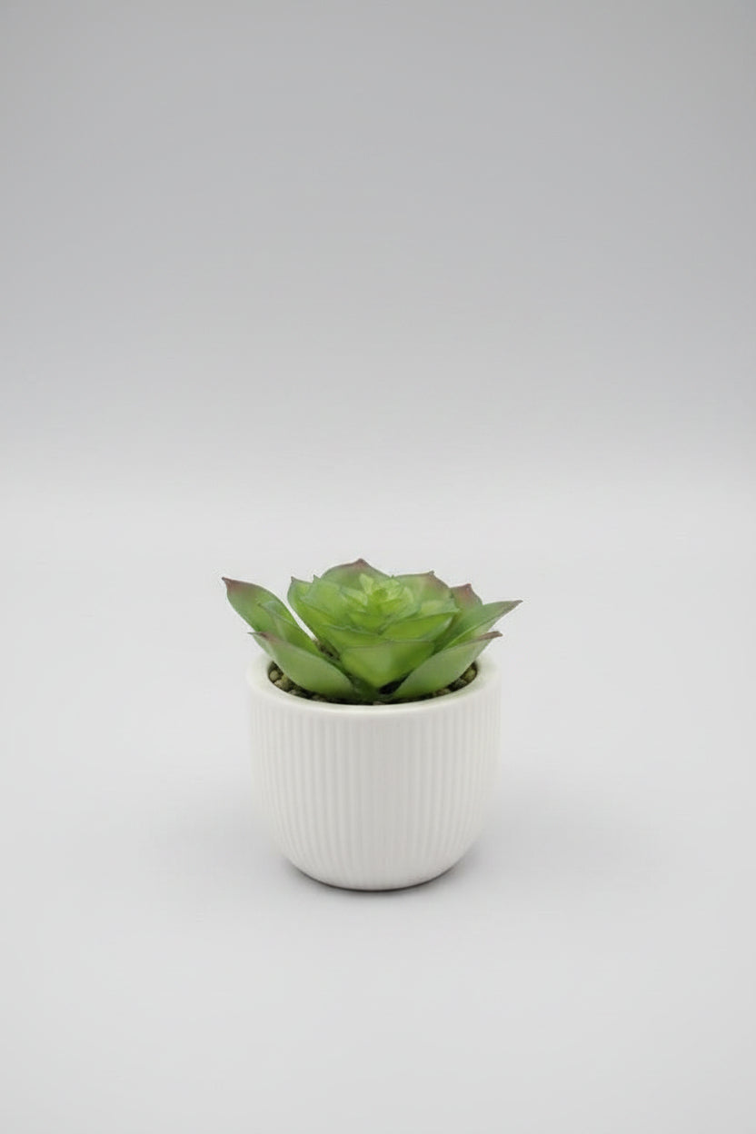 3.5" Potted Cactus – Faux Succulent Botanical Décor