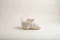 Conch Shell Planter