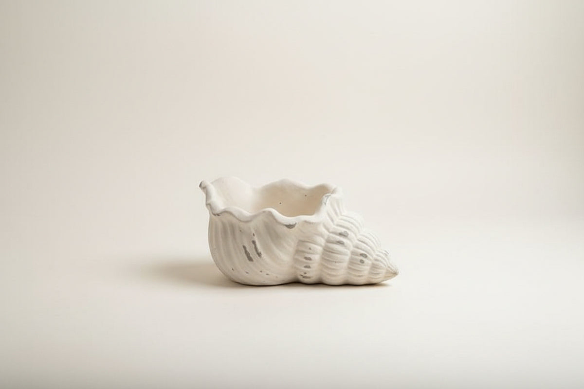 Conch Shell Planter
