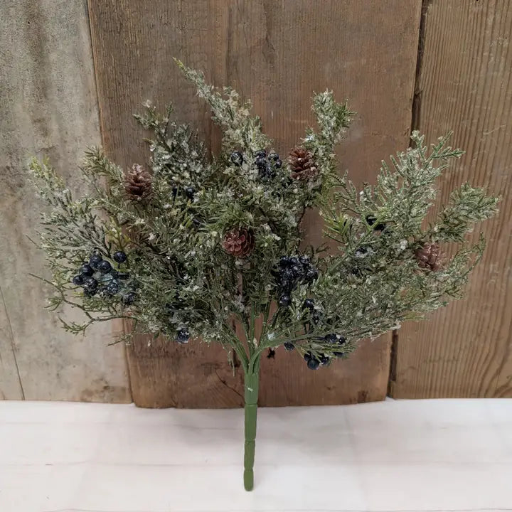 Winter Blueberry Bush