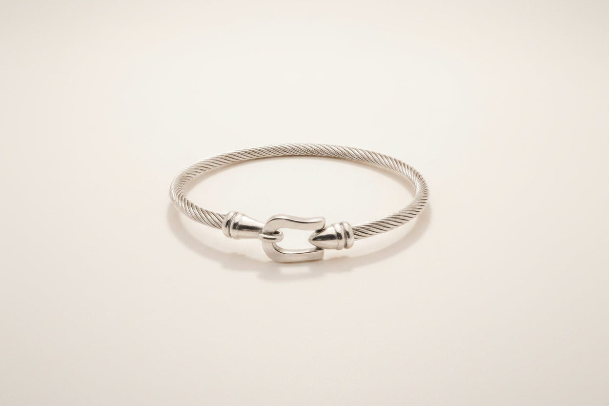 Luxury Stainless Steel Bangles