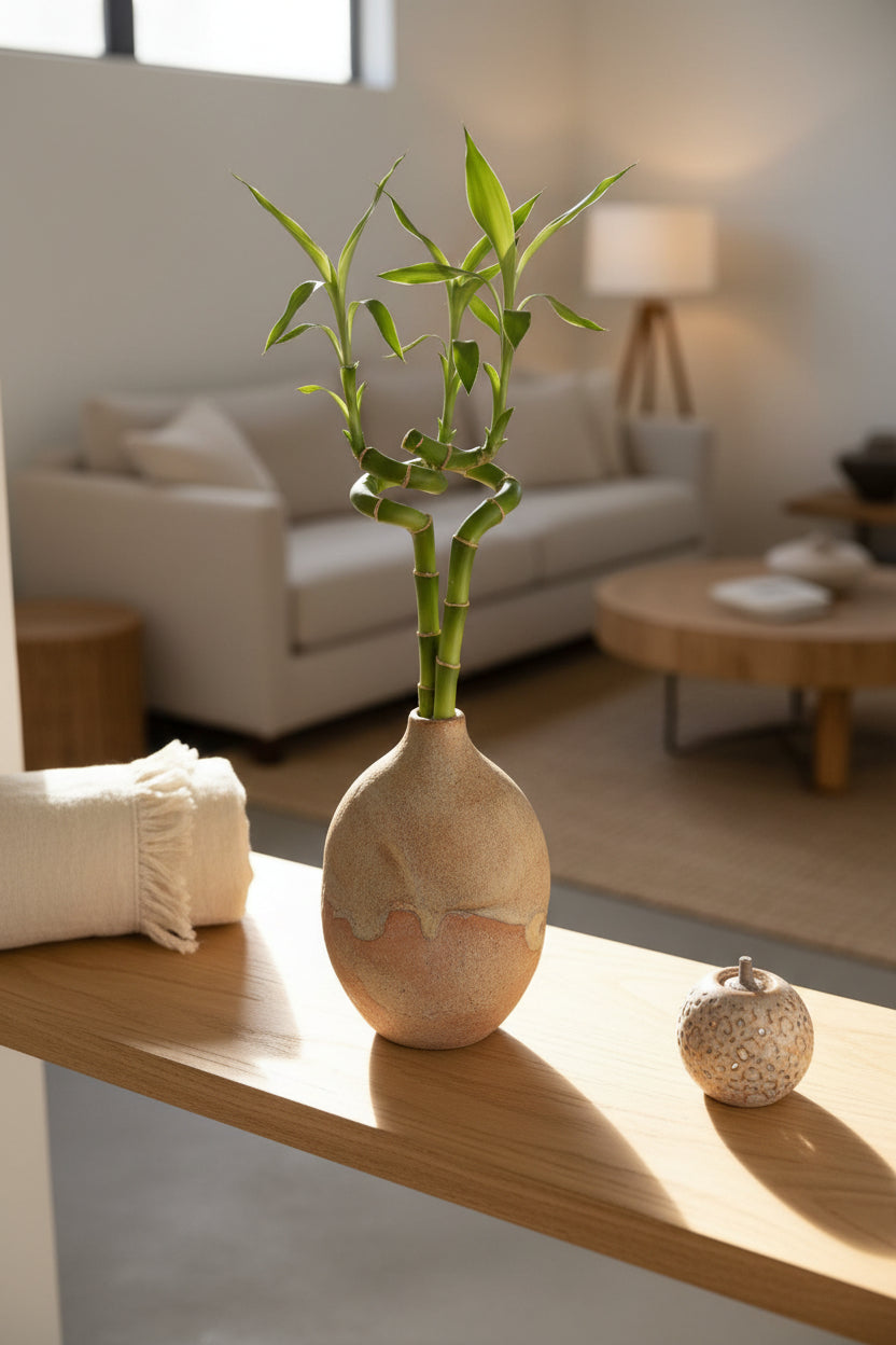 Bamboo Stem 3pc Bundle