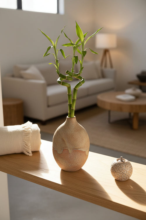 Bamboo Stem 3pc Bundle
