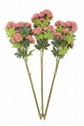 Pink Chrysanthemum Floral Stems