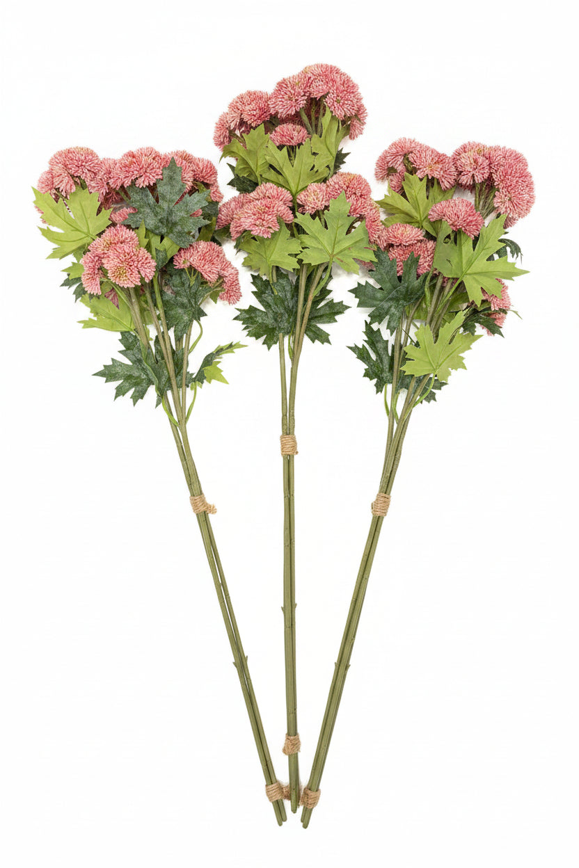 Pink Chrysanthemum Floral Stems