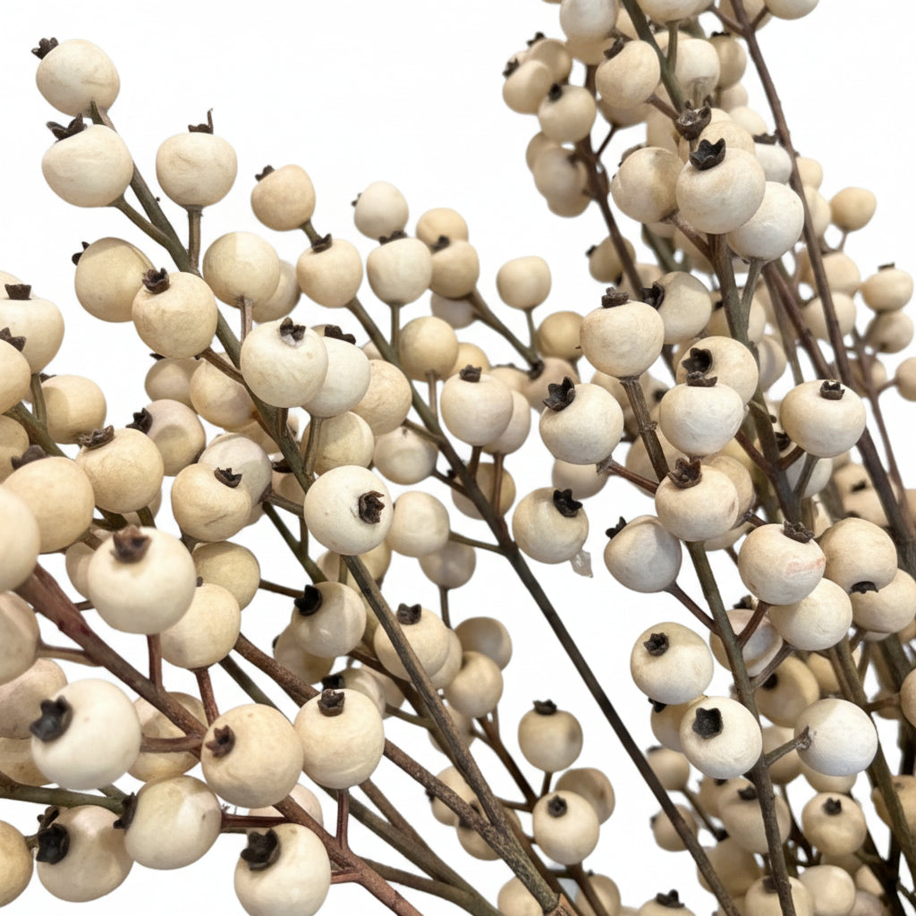 Cream Berry Branch Stem