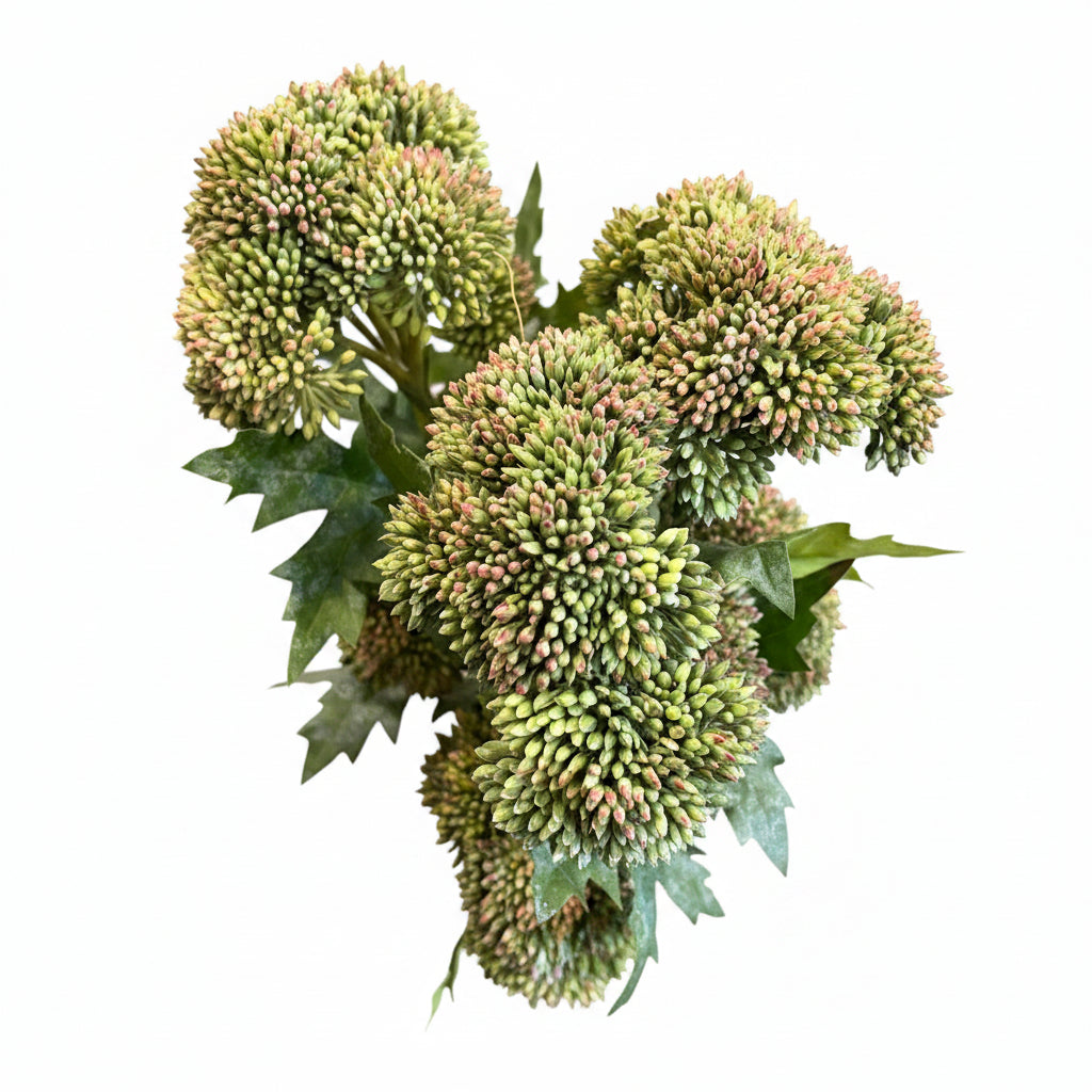 Green Chrysanthemum Floral Stems