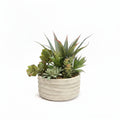 Succulent Planter