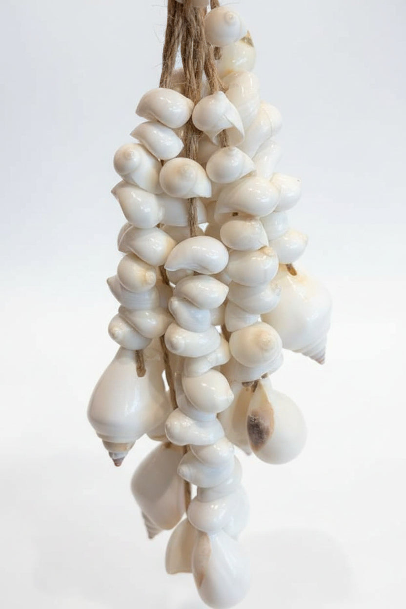 Coastal Shell Hanging Door Chime