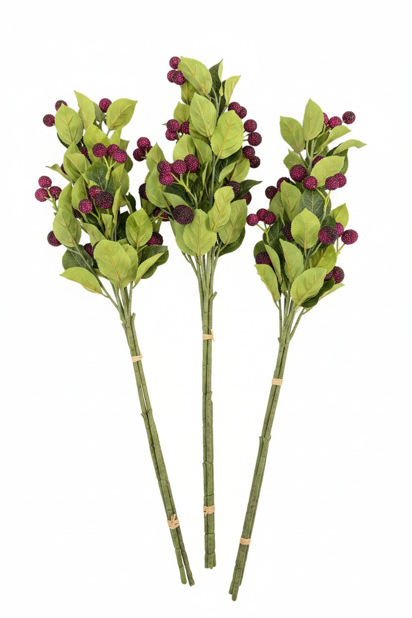 Blackberry Branch Stem