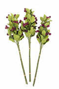 Blackberry Branch Stem