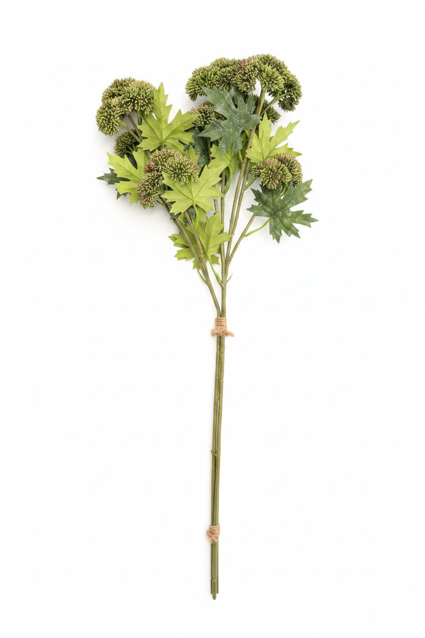 Green Chrysanthemum Floral Stems