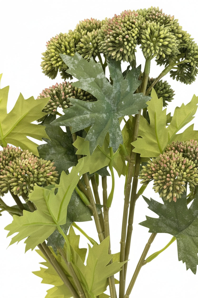 Green Chrysanthemum Floral Stems