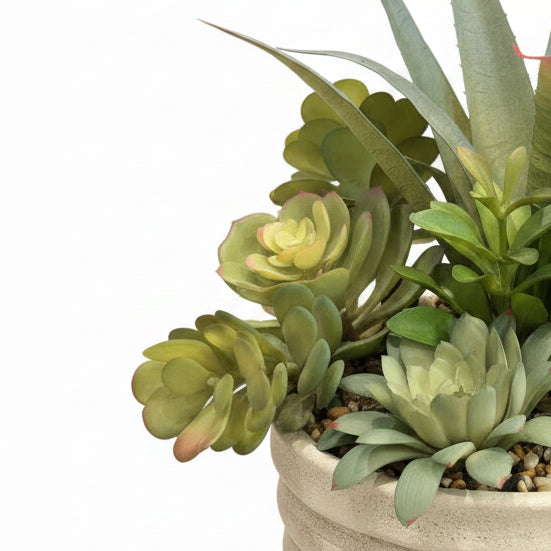 Succulent Planter