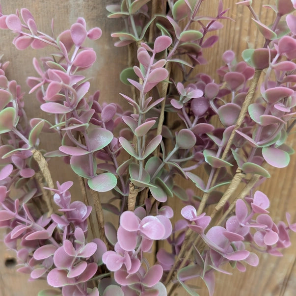 Purple Eucalyptus Picks