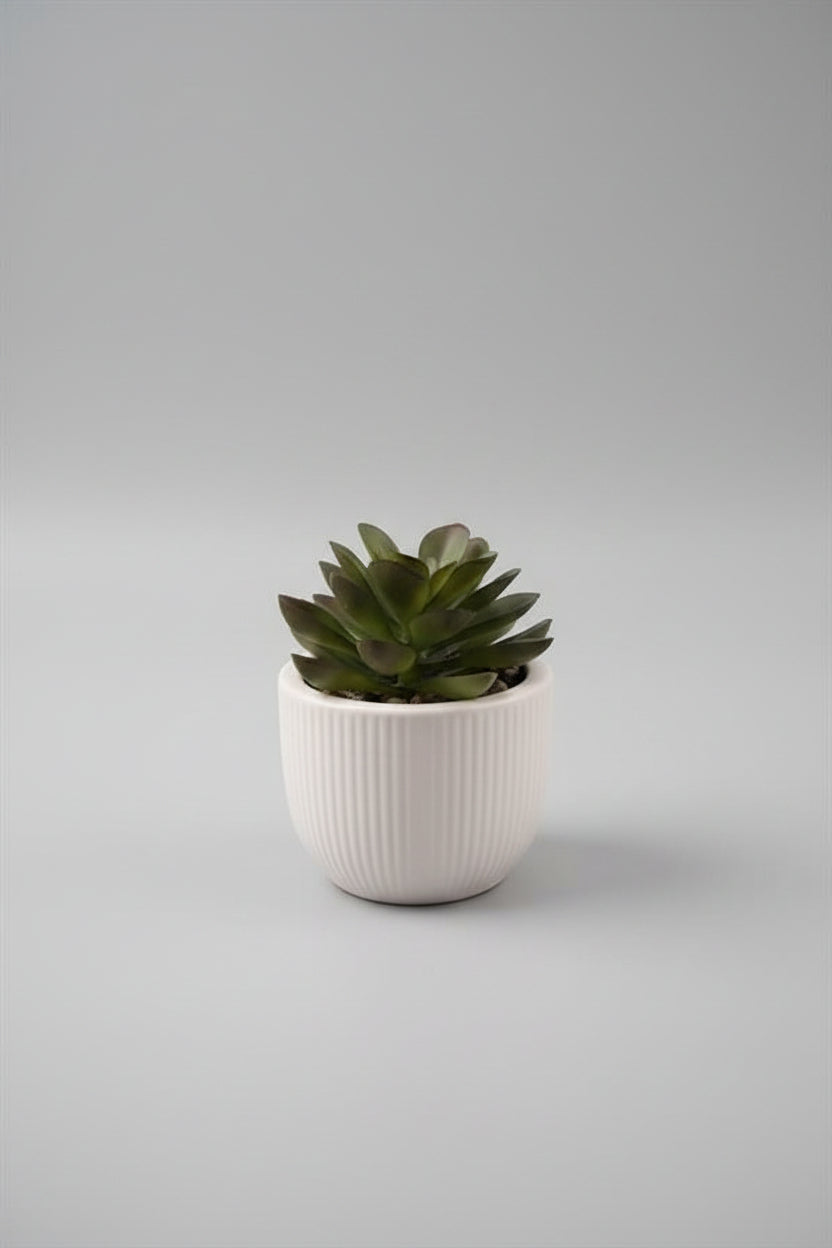 3.5" Potted Cactus – Faux Succulent Botanical Décor