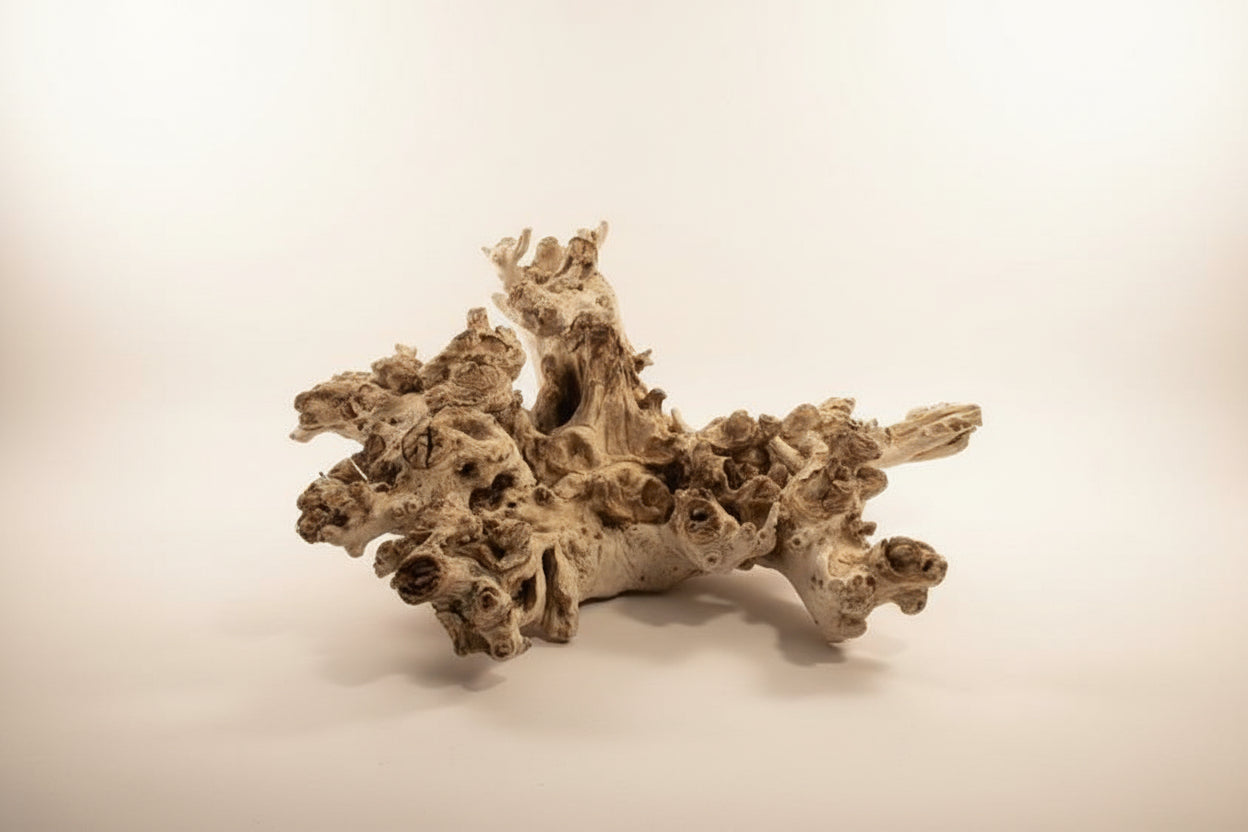 Natural Driftwood Root Wall Sculpture