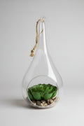 Hanging Glass Teardrop Terrarium