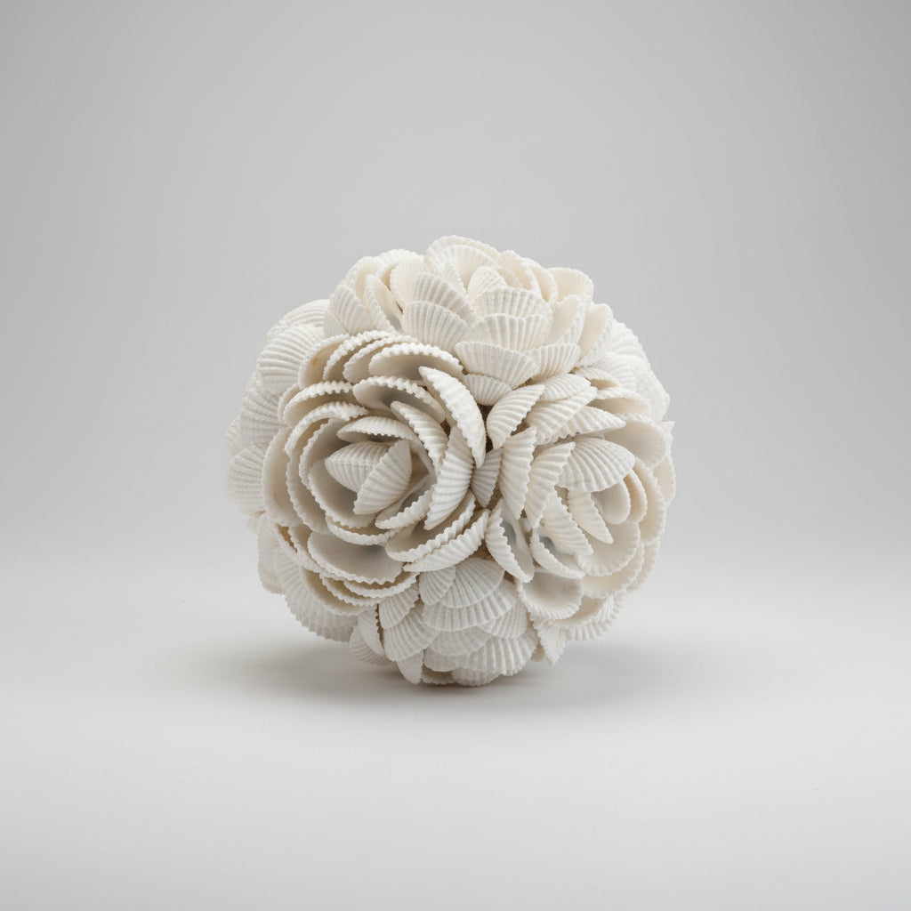 White Shell Orbs – Coastal Decorative Accent Spheres