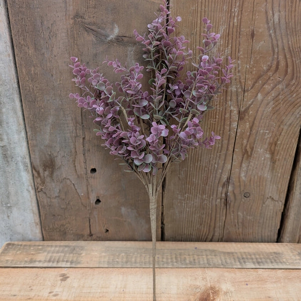Purple Eucalyptus Picks
