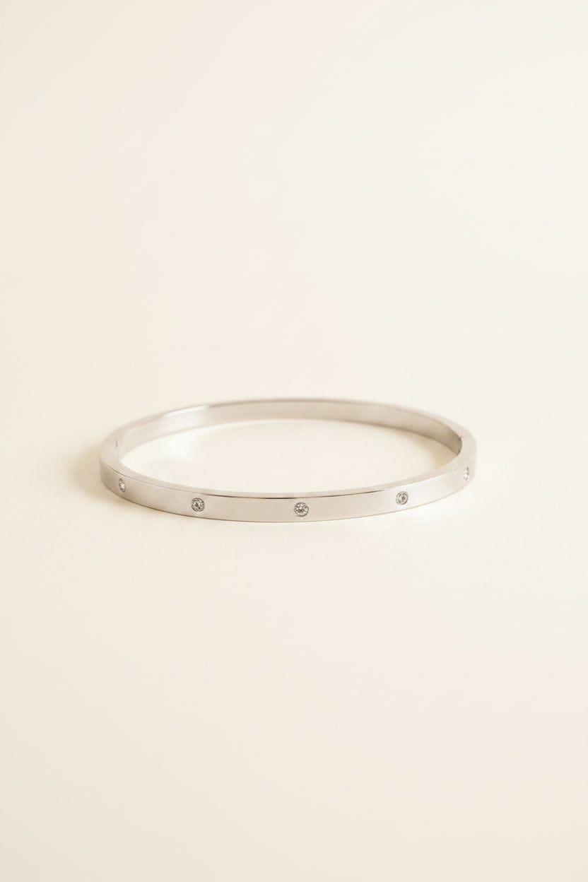 Luxury Stainless Steel Bangles