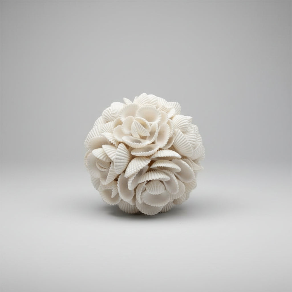 White Shell Orbs – Coastal Decorative Accent Spheres
