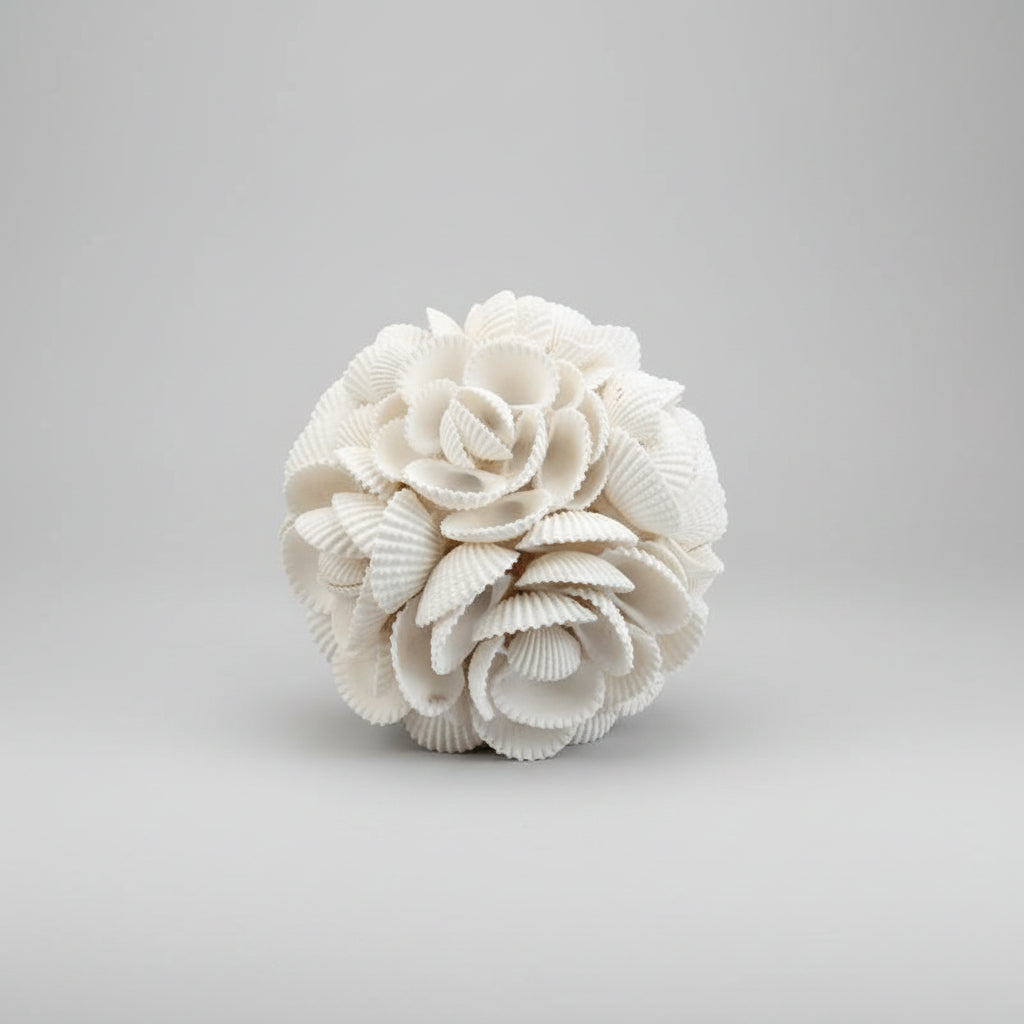 White Shell Orbs – Coastal Decorative Accent Spheres