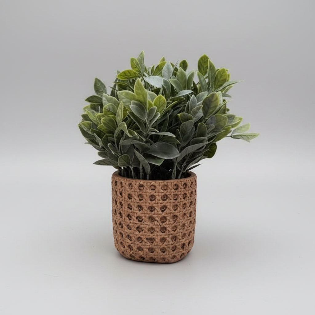 Ceramic Rattan Potted Plant