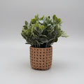 Ceramic Rattan Potted Plant